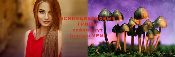 наркотики Дмитриев