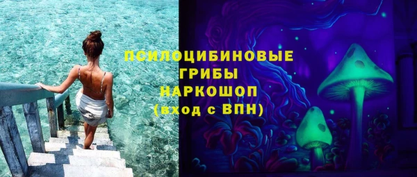 винт Елабуга