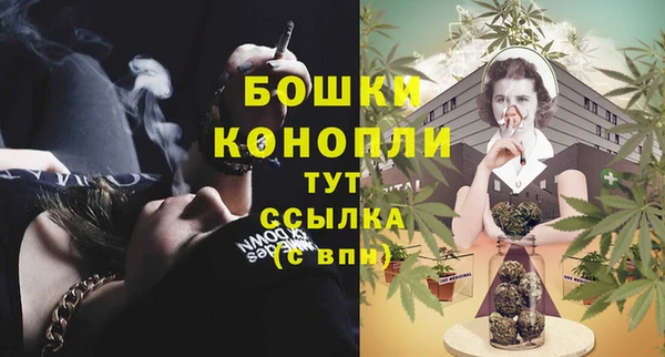 винт Елабуга