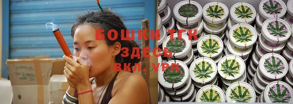 кокс Ельня