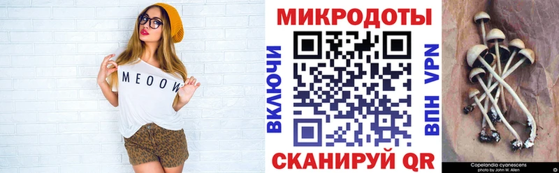 где найти   Вельск  Псилоцибиновые грибы MAGIC MUSHROOMS 